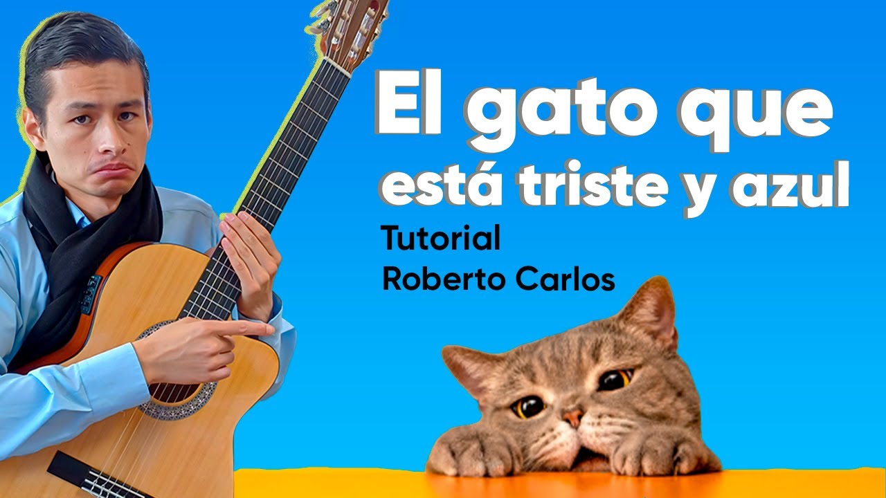 🐱 Como tocar El gato triste y azul De Roberto Carlos En Guitarra Acustica