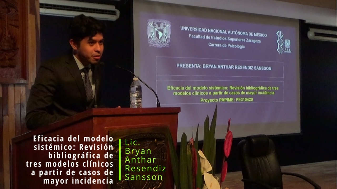 Eficacia del modelo sistémico