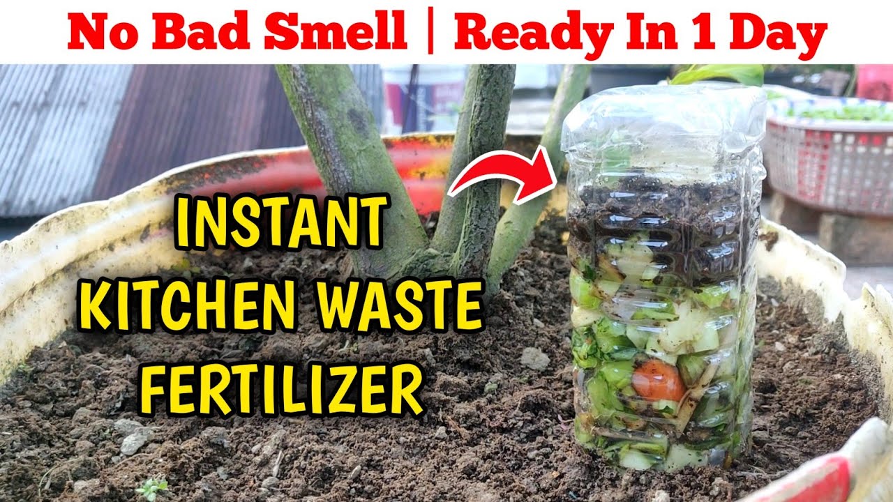 How To Make Fertilizer From Kitchen Waste Easy (IN HINDI) Kitchen Waste Compost