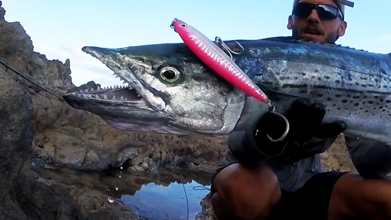 Beau Thazard Franc Du Bord