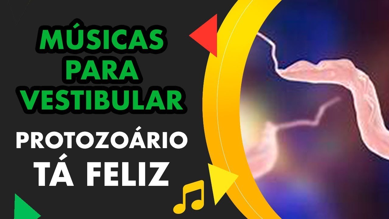 PROTOZO&Aacute;RIO T&Aacute; FELIZ - M&Uacute;SICA PARA VESTIBULAR