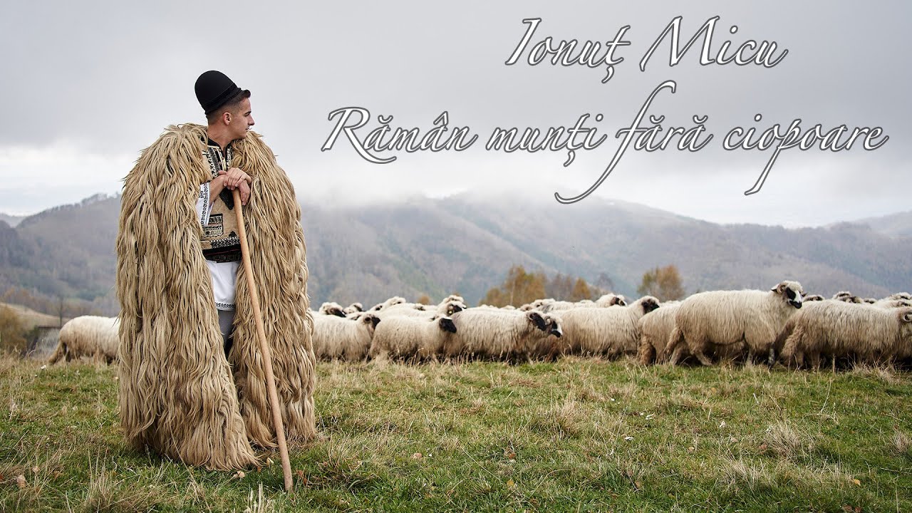 Ionuț Micu și Adi Neamțu - Rămân munți fără ciopoare