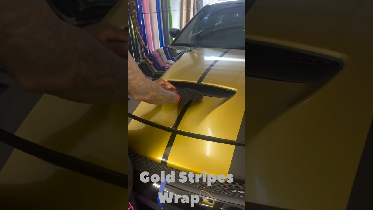 Dodge charger vinyl stripes