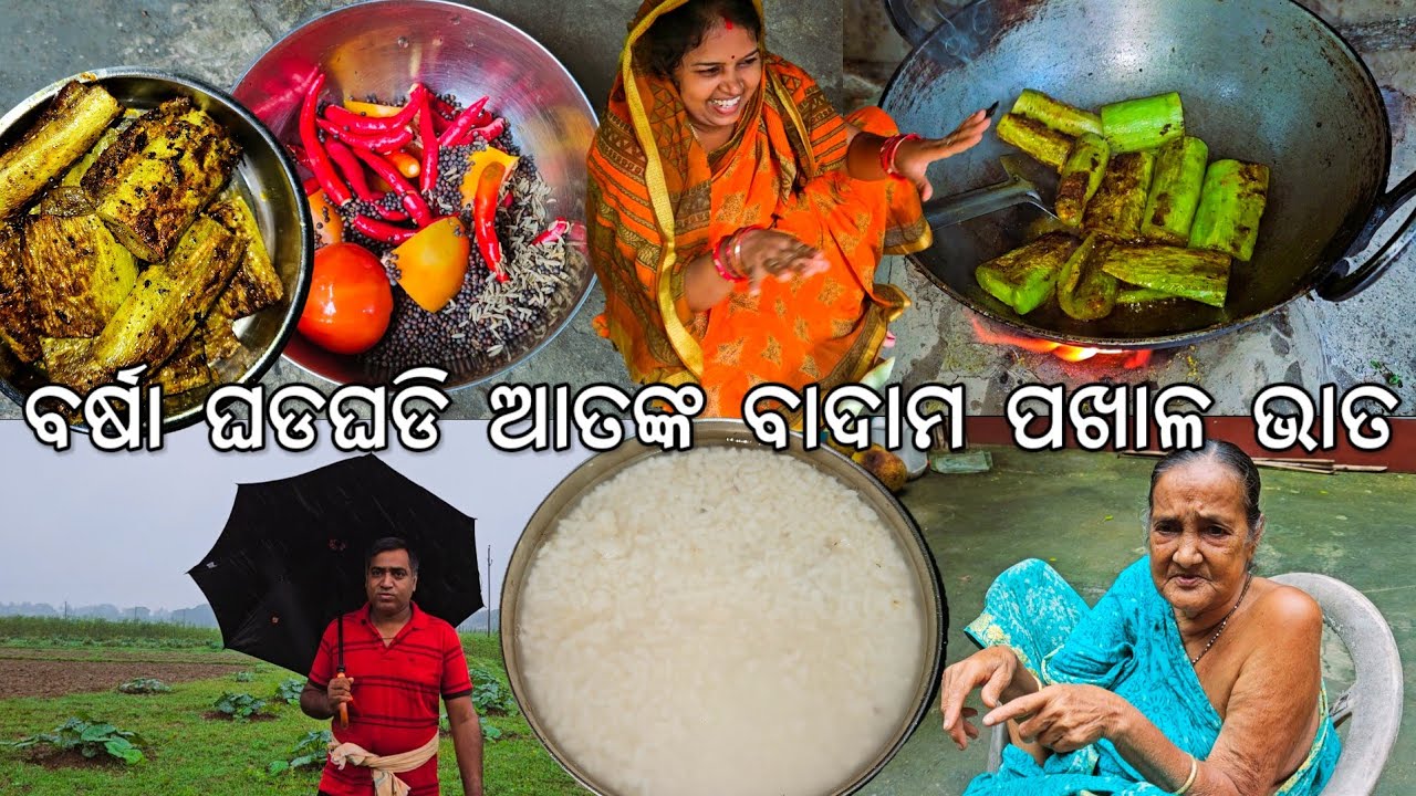 ବର୍ଷା ଘଡଘଡି ଆତଙ୍କ ଗାଁରେ ବାଦାମ ପଖାଳ ଭାତ 😋 l Gouranga Nayak Odia Vlogs 