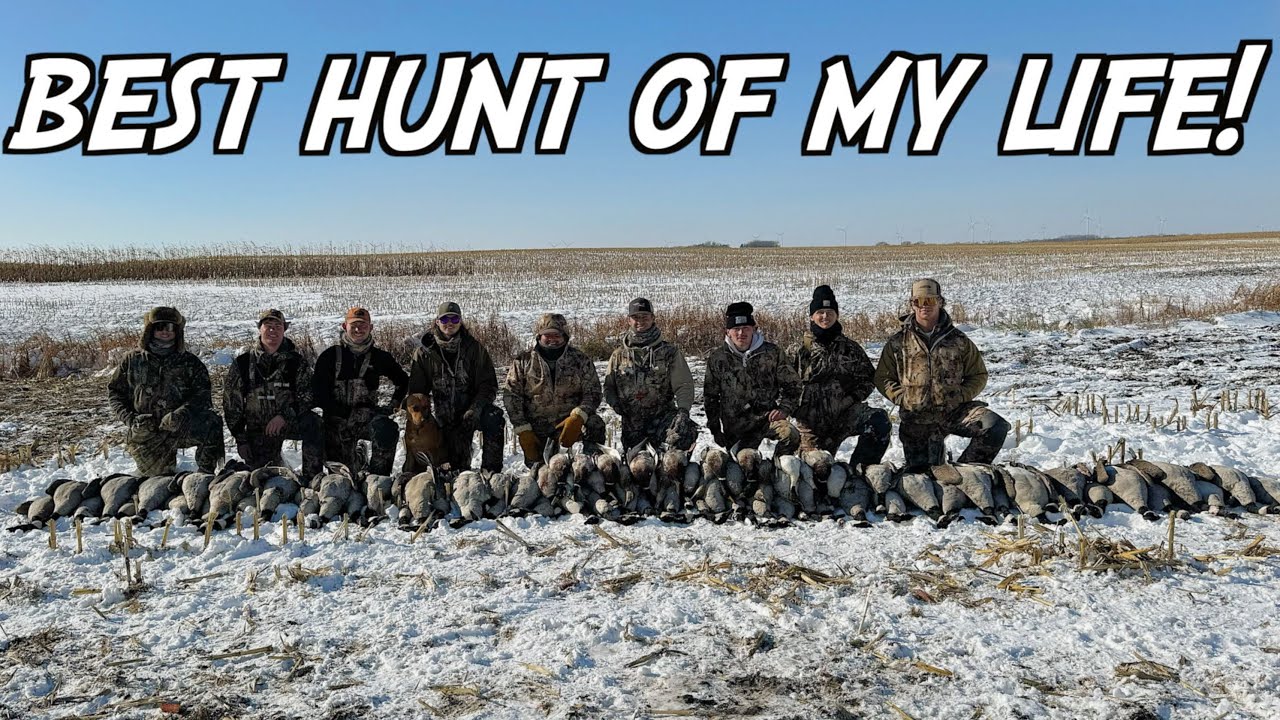 EPIC 75 Bird Hunt! North Dakota Goose Hunting 2023