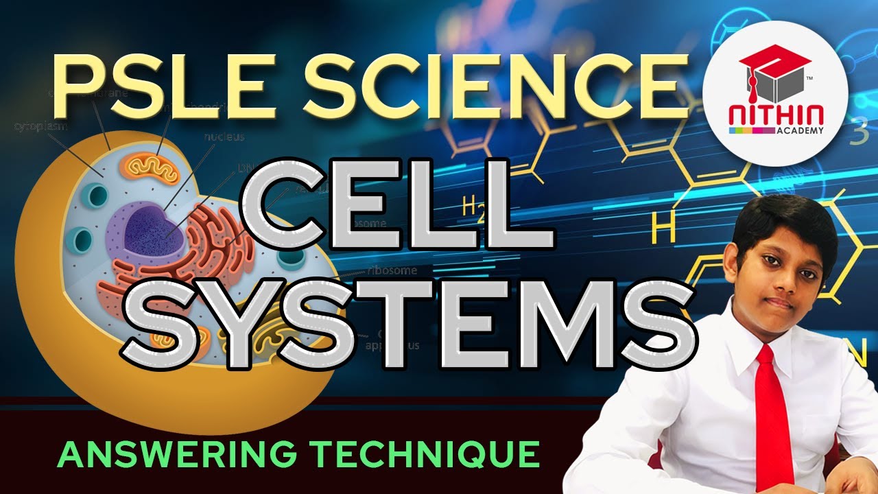 PSLE SCIENCE | CELL SYSTEMS |  Primary 5 & 6 Singapore | Answering Technique