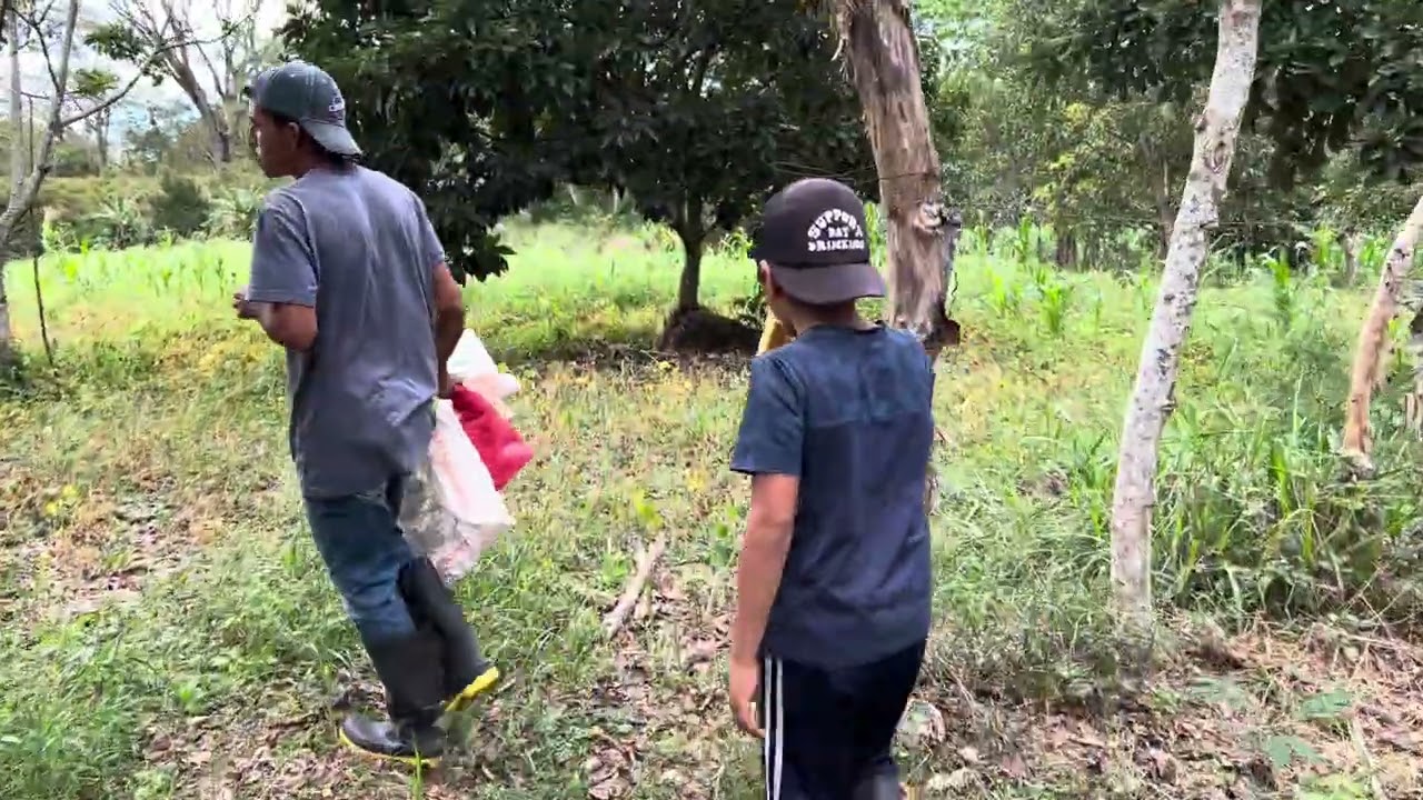 La catracha en Honduras 