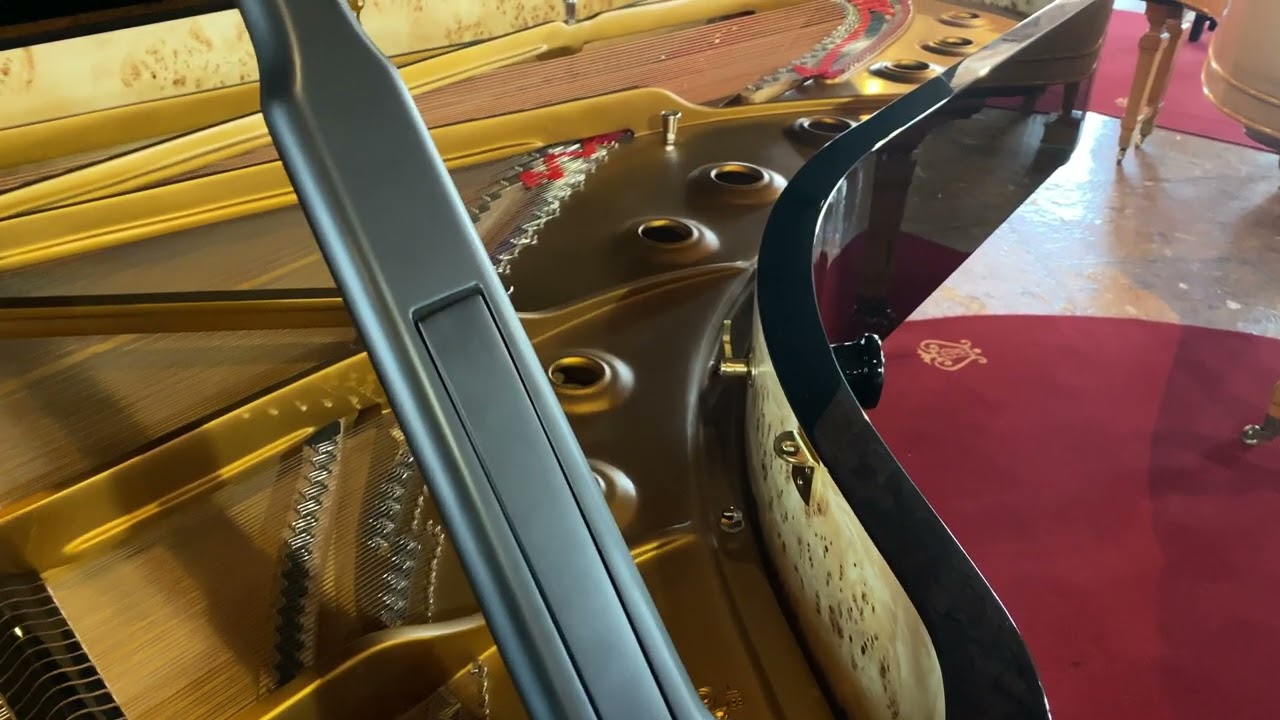 Brand New, Wilh Steinberg WS-D275 Concert Grand Piano Walkaround 4k