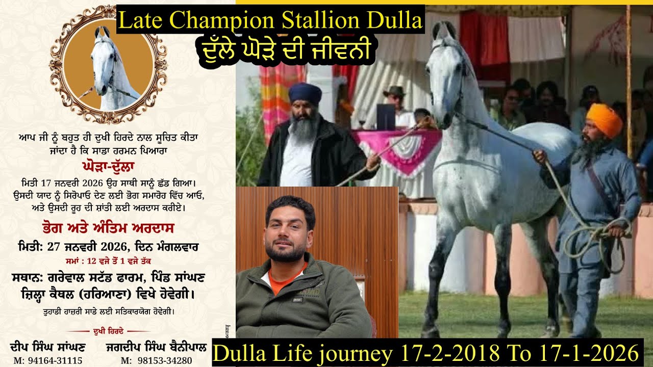 RIP Legend Dulla ਦੁੱਲੇ ਦੀ ਜੀਵਨੀ Life journey 17-2-2018 To 17-1-2026 ਦੁੱਲੇ ਦੀ ਘਾਟ ਕਦੇ ਪੂਰੀ ਨੀ ਹੋਣੀ
