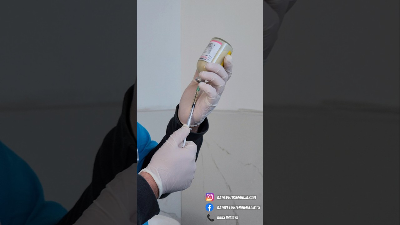VETERİNER KLİNİĞİ profosyonel tanıtım videosu🐾 #veteriner #klinik #shorts #short #professional
