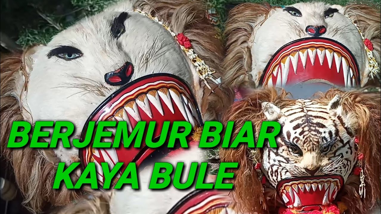Barongan Reog Harus Dijemur Biar Tidak Lembab