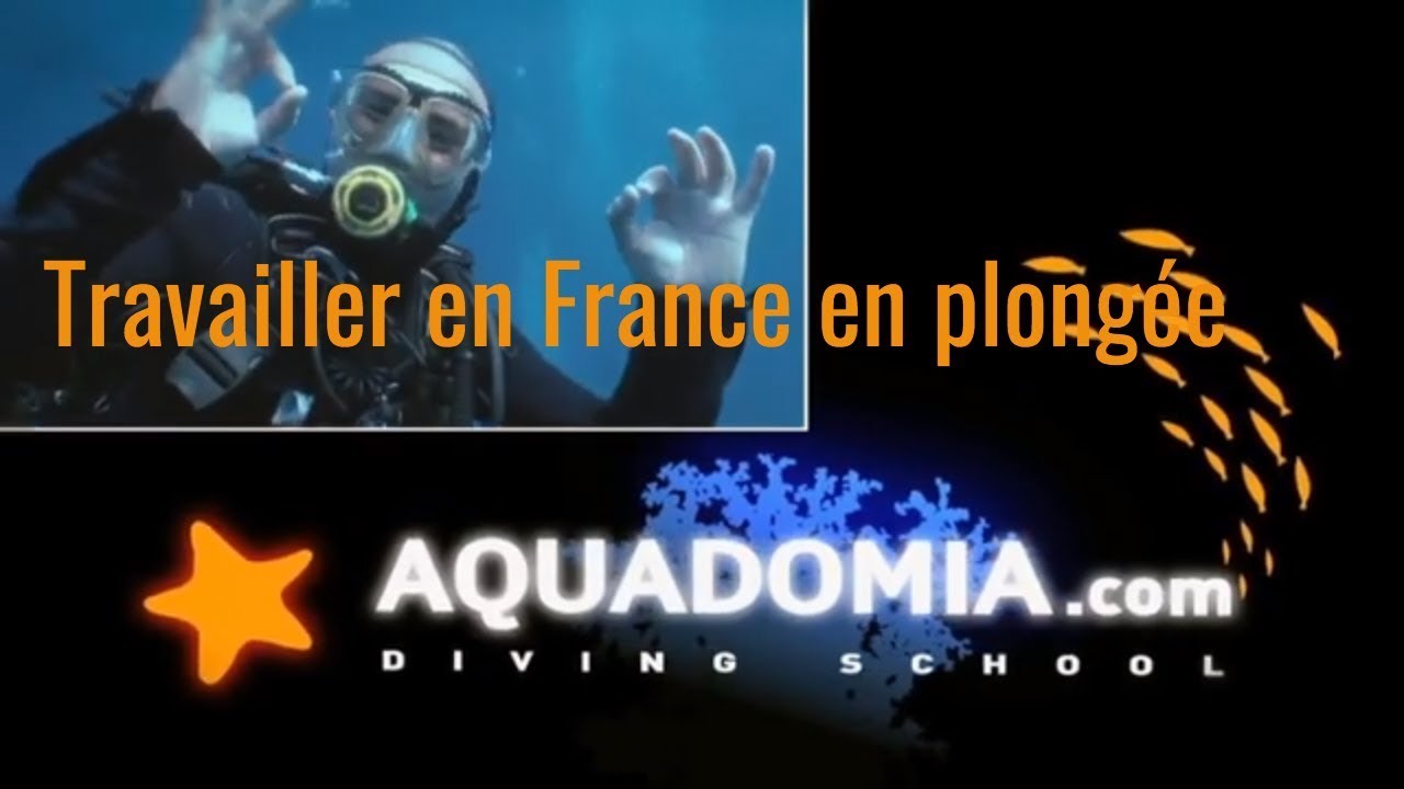 Travailler en plong&eacute;e : quels dipl&ocirc;mes pour la France ?