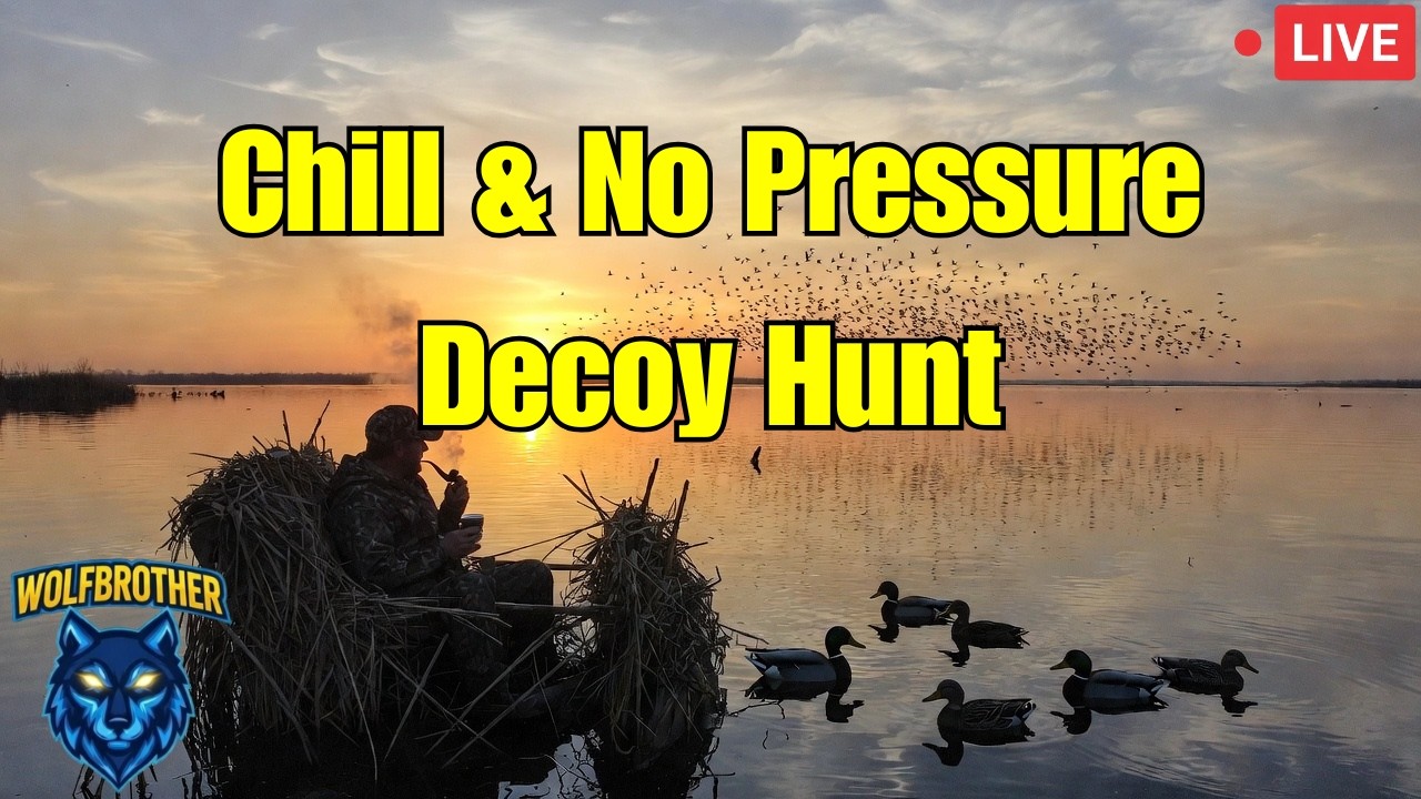 Random Decoy Duck Hunt – Chill & No Pressure | 20:30 Live 🦆🌙