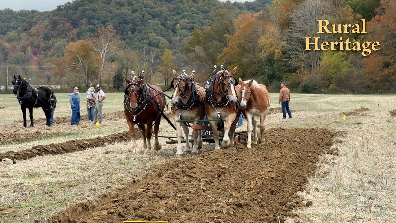 2025 US Horse & Mule Plowing Contest