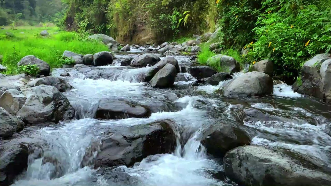 Water Sounds for Meditation and Healing | Gentle River Flow Ambience
