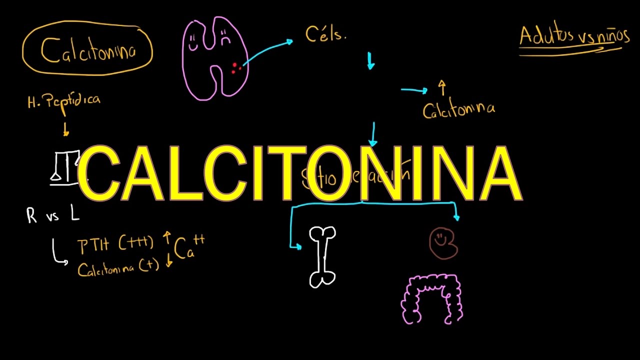 Metabolismo del calcio: Calcitonina (3 de 5)