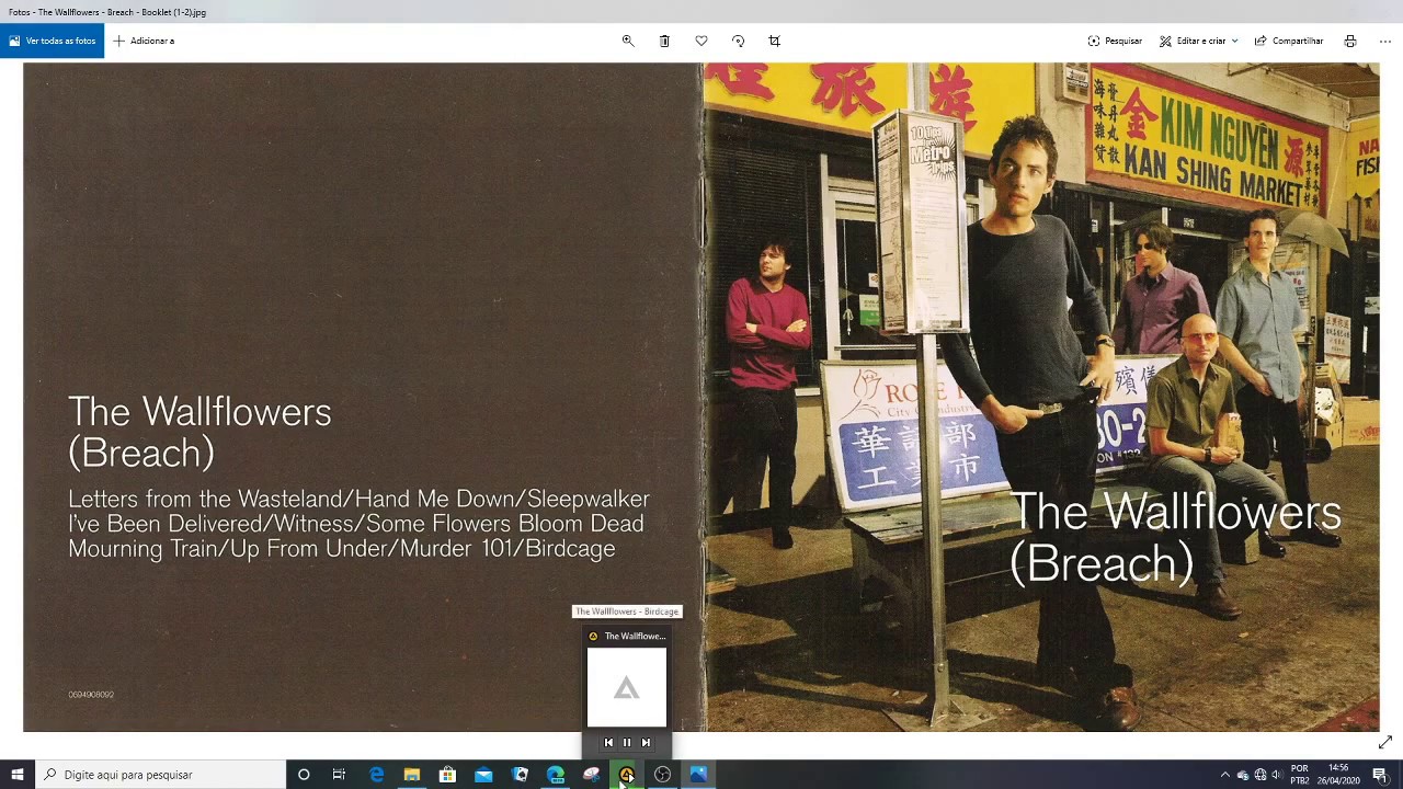 The Wallflowers - Babybird (FLAC)