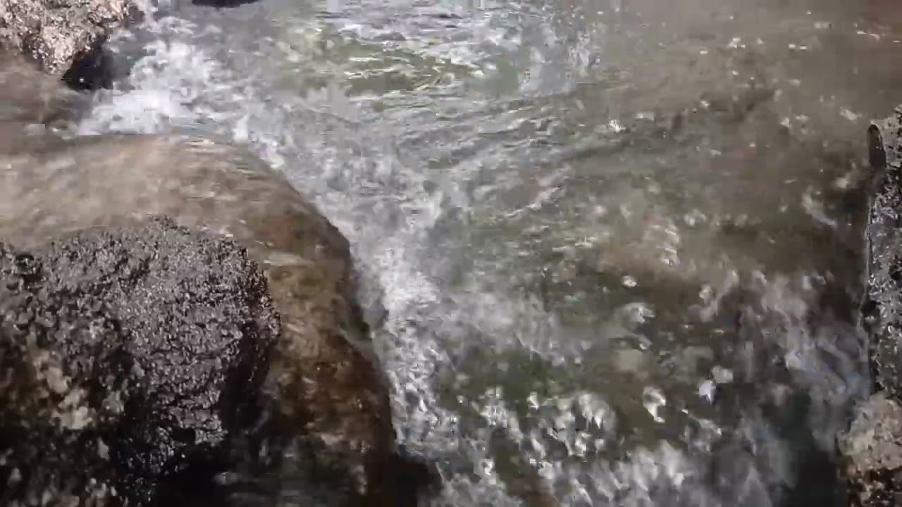 Gently Flowing Water Sounds for Meditation | Relaxing Stream Ambience for Inner Peace 🌿💧