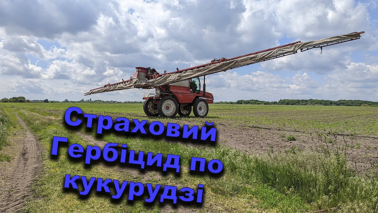 Вносимо Ладіус+Меро Огляд гербіцидів на кукурудзу