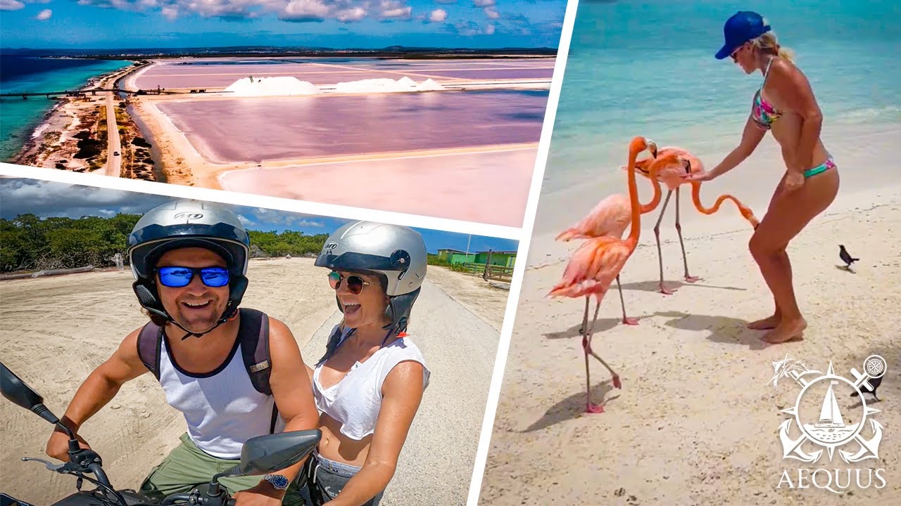 Scooters, Salt flats & Flamingos - We explore the island of Bonaire | Sailing Aequus - Episode 7