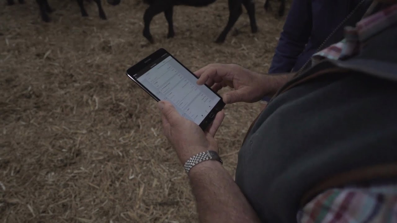 AgriWebb Customer Story | Rebekah Price with ABP Gamechanger