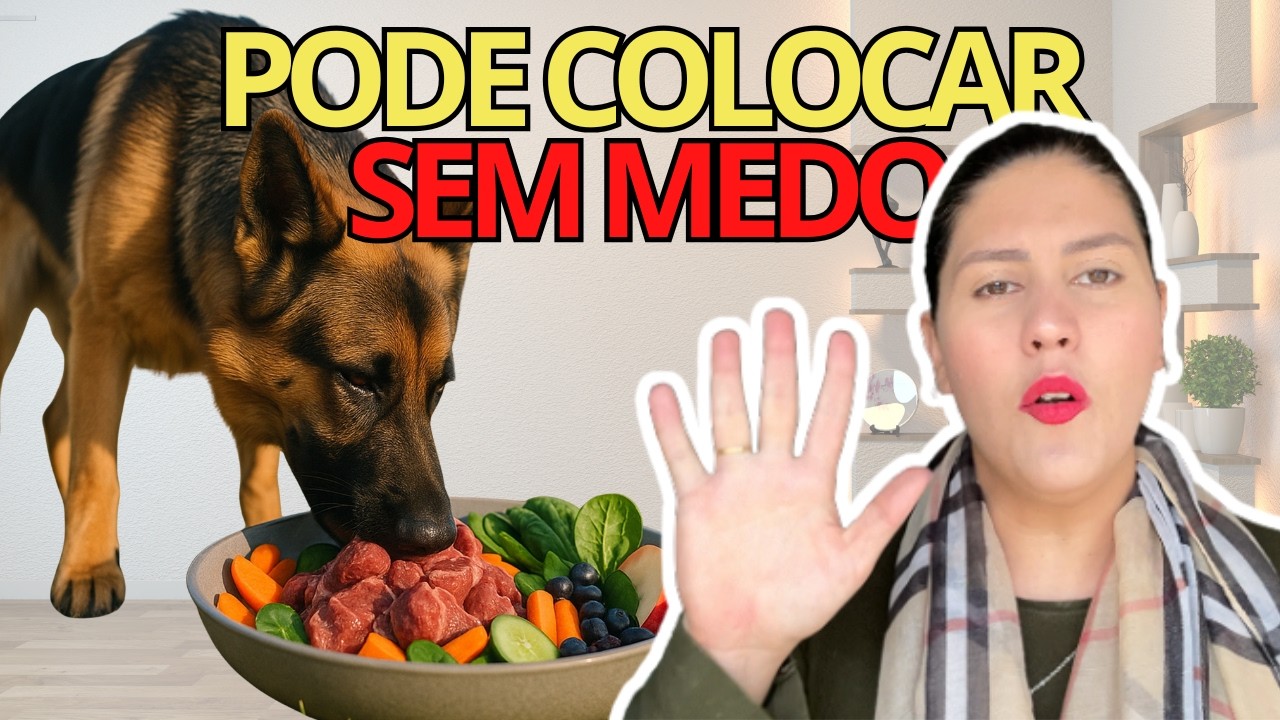 Alimentos pra misturar na ração do seu cachorro sem medo de ser feliz! 