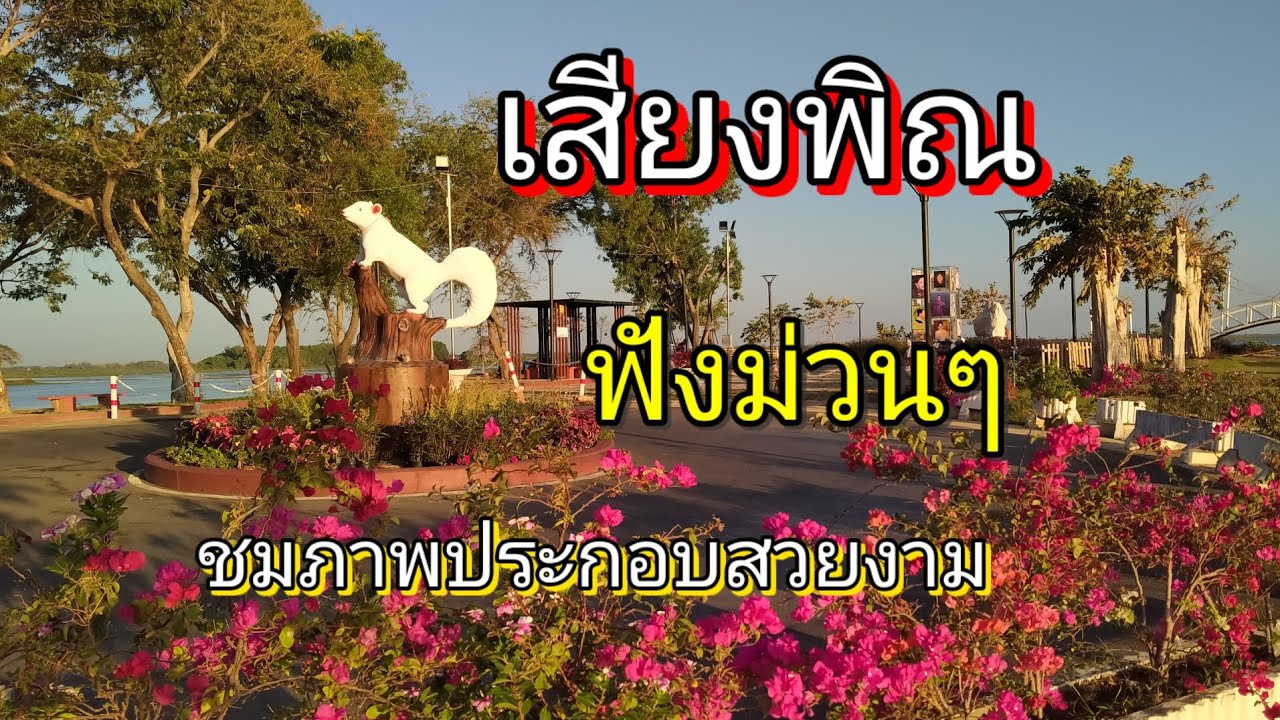 เสียงพิณ ฟังม่วน ชมภาพประกอบสวยงาม