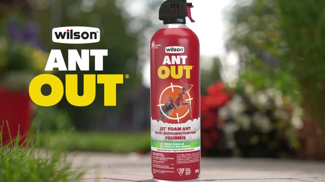 How to use Wilson ANT OUT Jet Foam Ant Killer