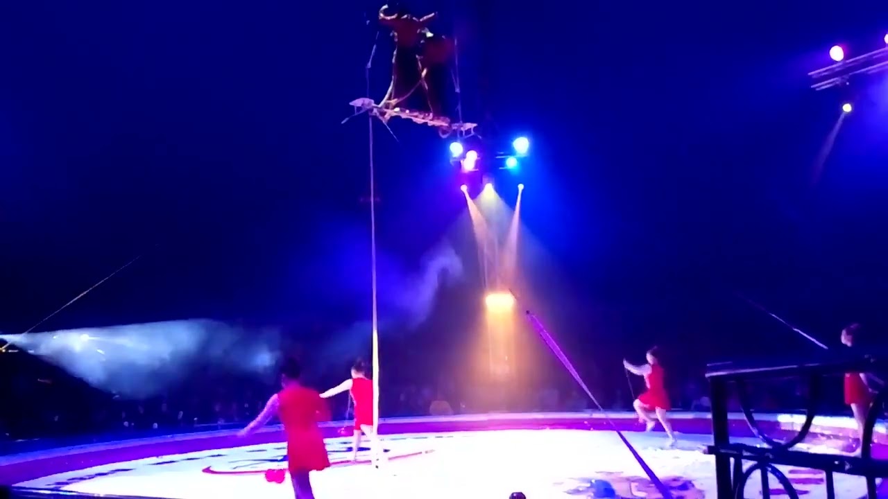 Noche de  circo 🎪 😎