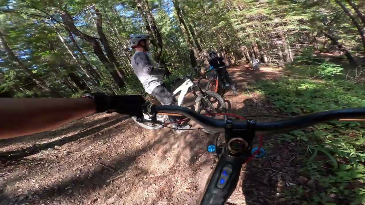 Empire Grade/ Santa Cruz MTB trails 