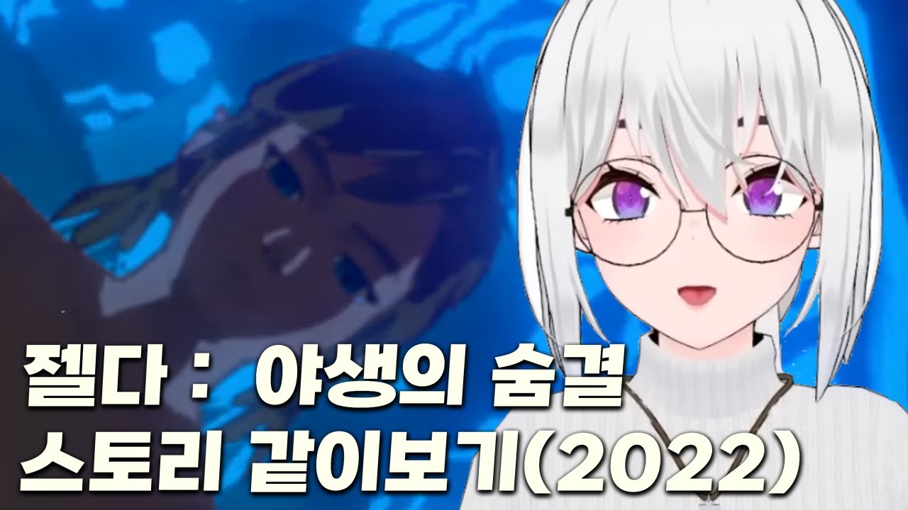 2022년에 했던 쥰내 긴 젤다 노가리 + 스토리 같이보기