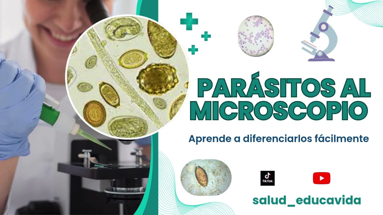 PARÁSITOS AL MICROSCOPIO