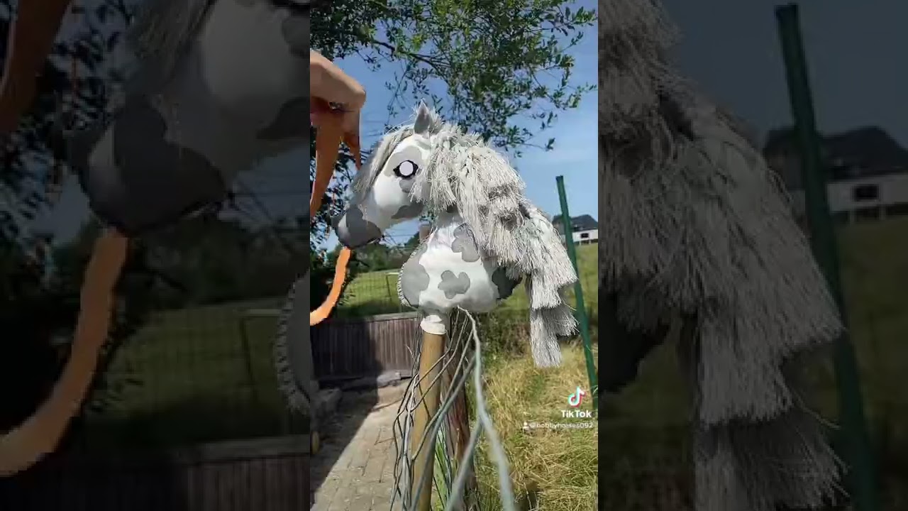 Eerste video! Falki opzadelen, part 2 komt! 💕🫶🏻 #hobbyhorsing #hobbyhorse #manegedezonnehoeven