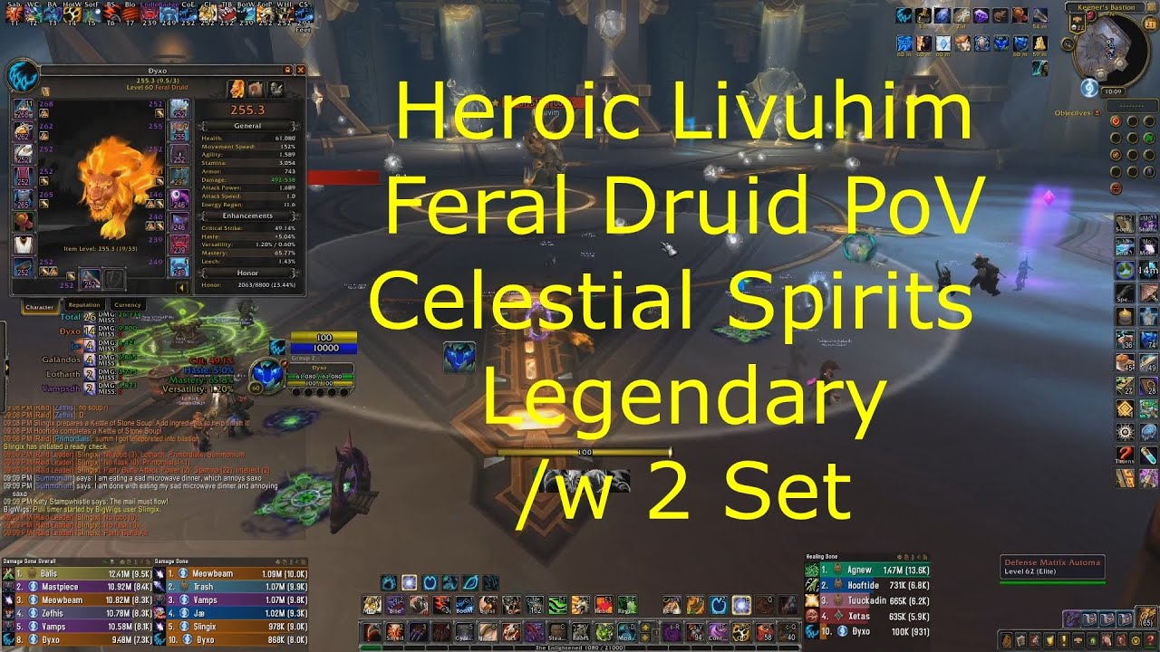 Heroic Livuhim Feral Druid PoV /w 2 Set - Celestial Spirits Lego - 9.2 Shadowlands