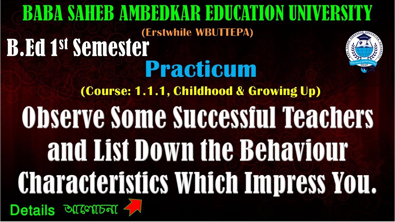 B.Ed. 1st Sem Practicum || C-1.1.1, Observe Some Successful Teachers and List Down...Impress You.