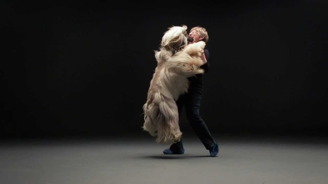 Secret Life of Dogs: Afghan Hound runs and jumps onto owner in slow motion.