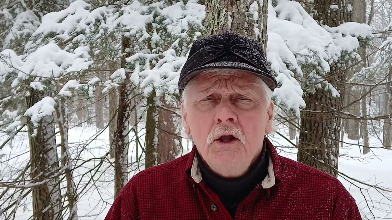 Стратегия охоты с наивысшим процентом успеха