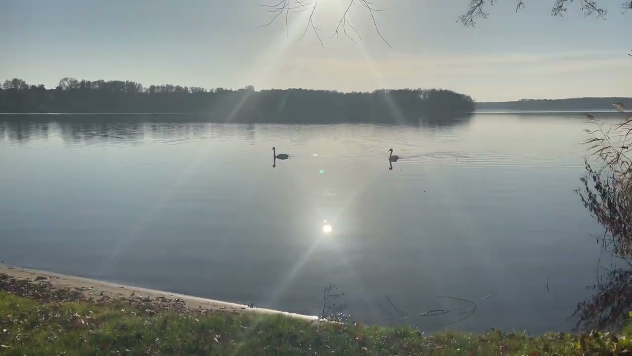 Camping Krossinsee 1930 in Berlin - Why I love to be here - A Walkaround