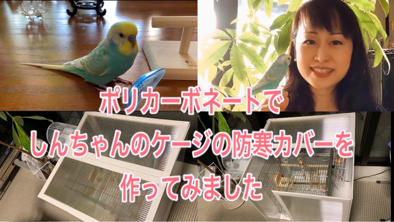 2020.10.30冬支度　ポリカーボネートでセキセイインコしんちゃんのケージの防寒カバーを作ってみました