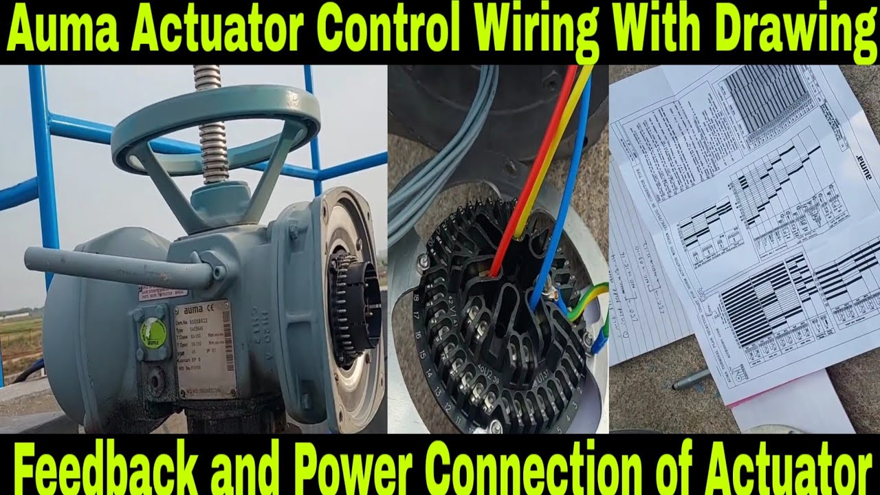 Power and Control Wiring of Auma Actuator | Feedback and Command Wiring of Actuator |Actuator Wiring