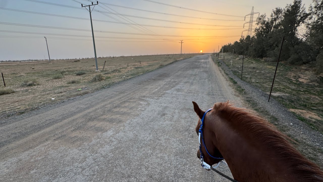 ١٧ || عصريّة ركوب بين الضواحي 🐎