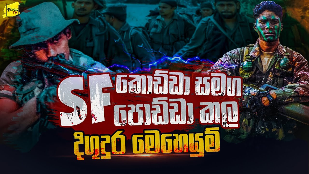 SF කොඩී සමග SF පොඩී කල මවිල් කෙලින් වන දිගුදුර මෙහෙයුම් | WANESA TV