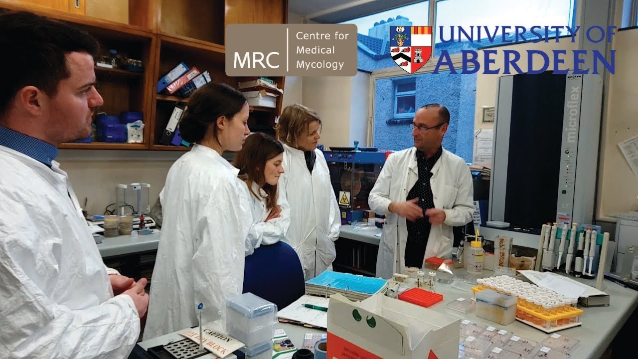 MRes student workshop at the PHE Mycology Reference Laboratory