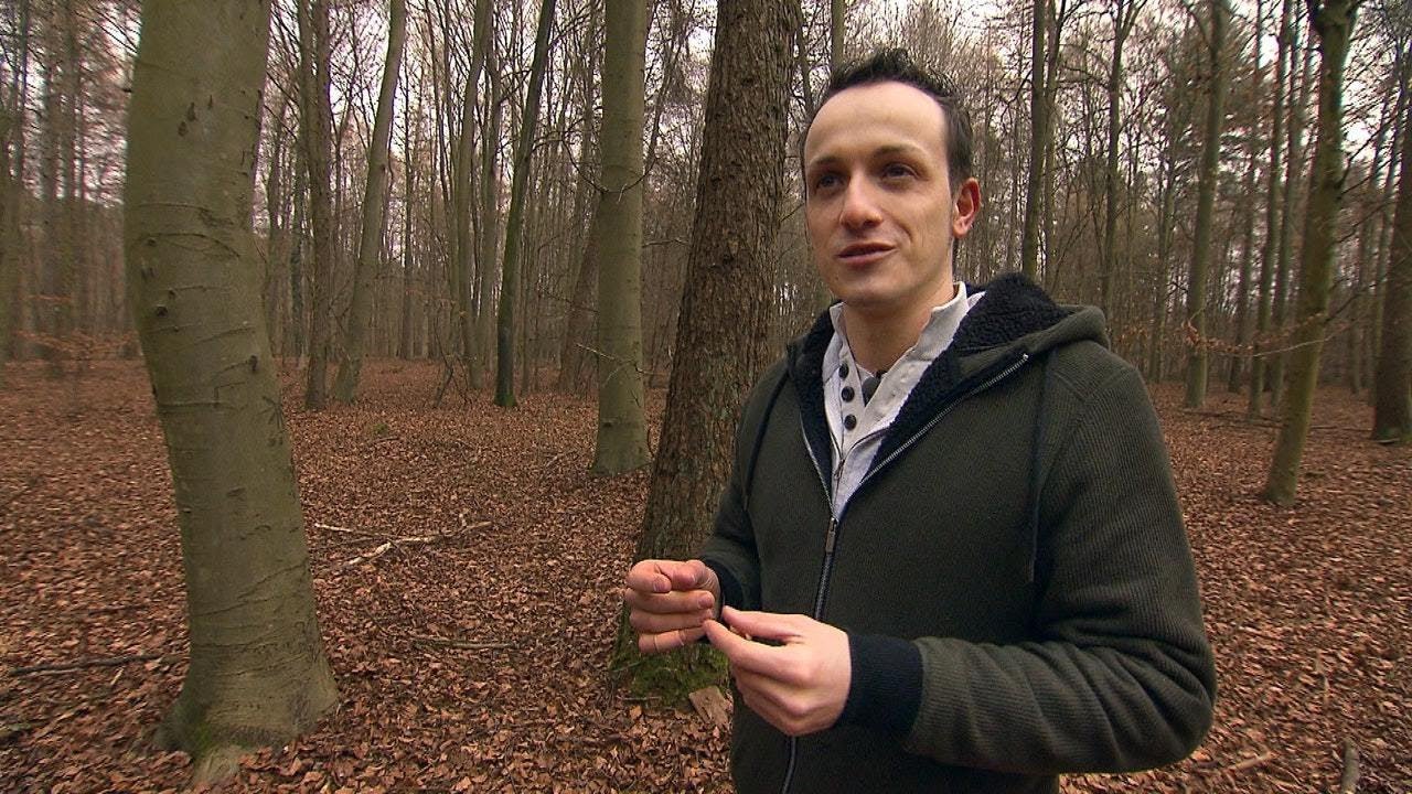 Fluch und Segen eines Schatzsuchers: Der Barbarenschatz von Rülzheim | SPIEGEL TV