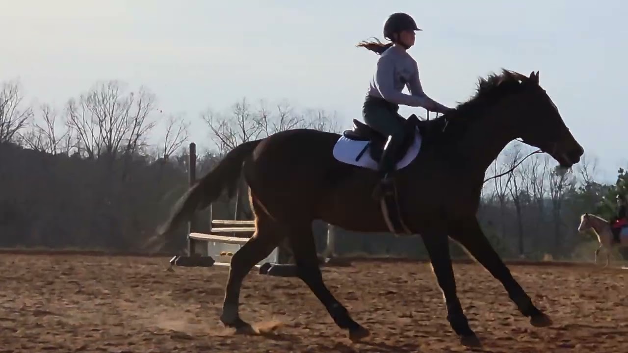 Kayden & Arnie 02-11-2026 Lesson