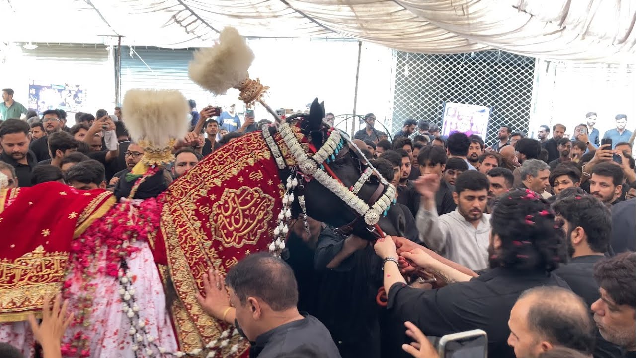 8 Muharram 2025 | Imam Bargah Kashana Haider Shadbagh Lahore | Baramdagi Zuljanah o Matamdari