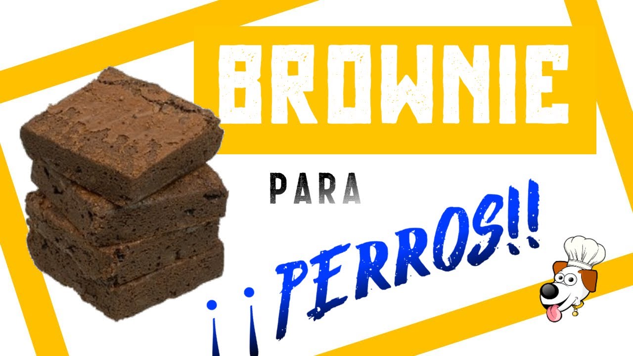 ✅ BROWNIE para PERROS❗❗. Pastel para perros