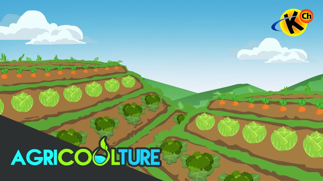 Forces of Agriculture | AgriCOOLture