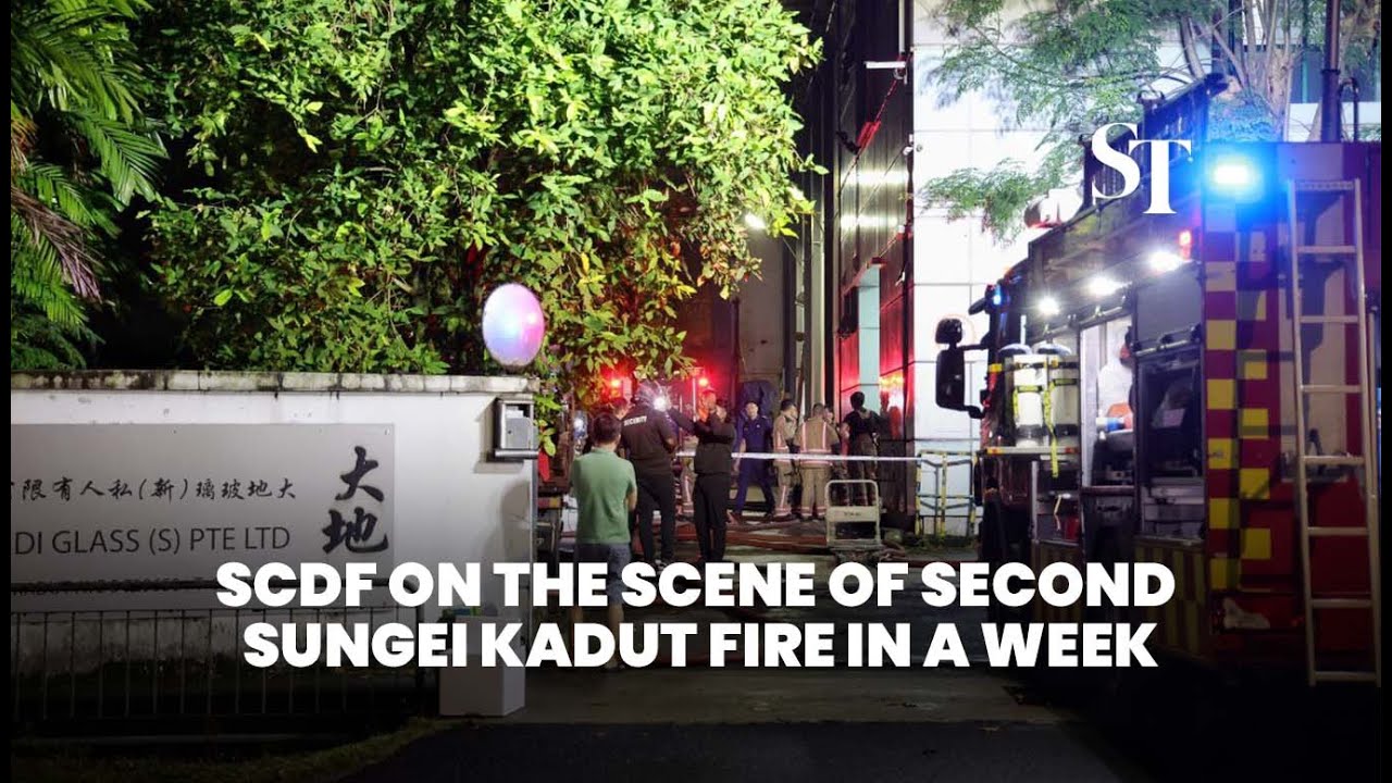 SCDF on the scene of second Sungei Kadut fire in a week