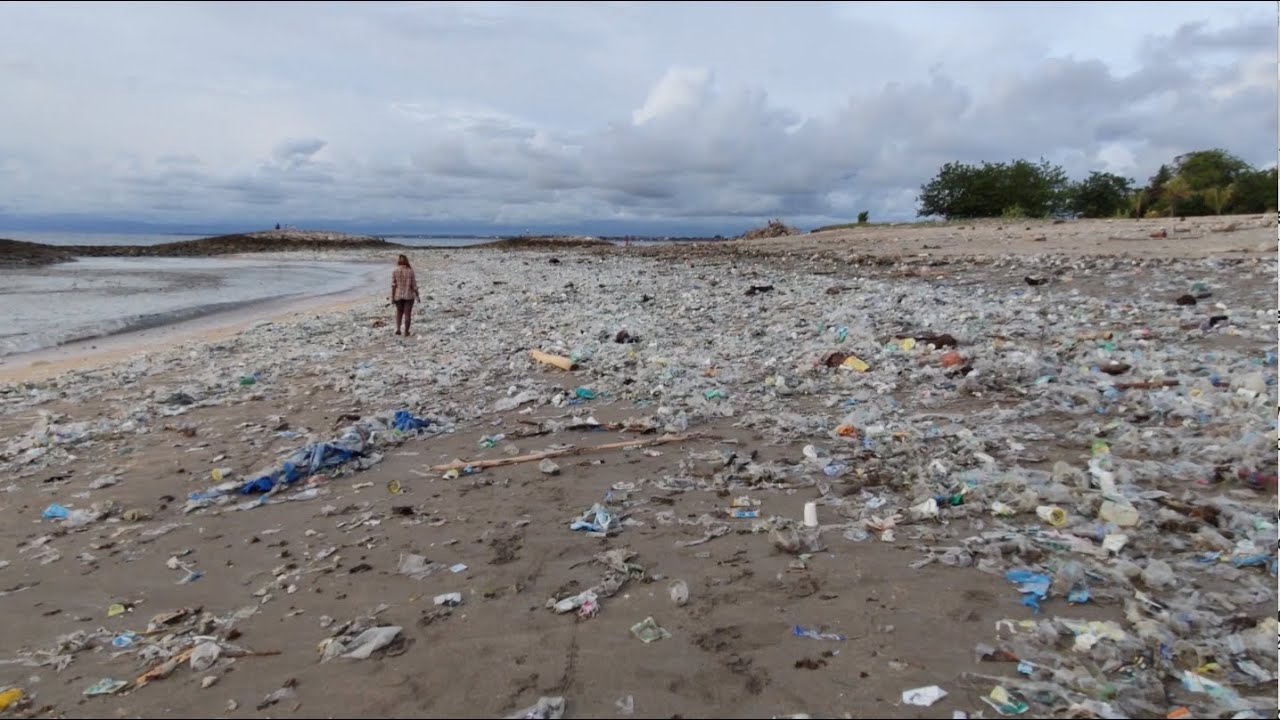 The Washed Ashore Project: Art to Save the Sea